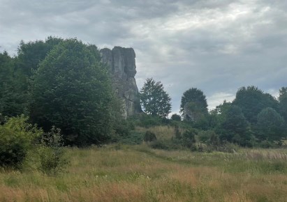 działka na sprzedaż - Niegowa, Łutowiec