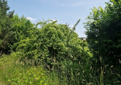 działka na sprzedaż - Psary, Gródków