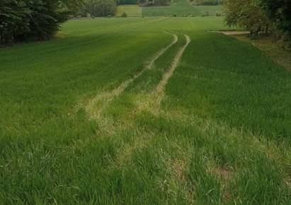 działka na sprzedaż - Racławice, Kościejów