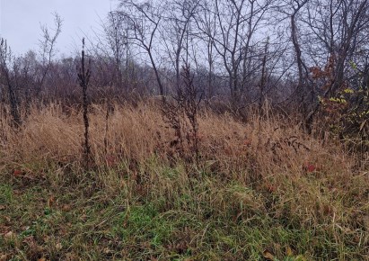 działka na sprzedaż - Dąbrowa Górnicza, Ząbkowice