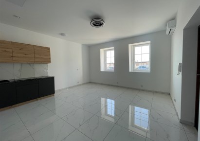 mieszkanie na wynajem - Sosnowiec, Centrum