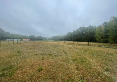 działka na sprzedaż - Secemin